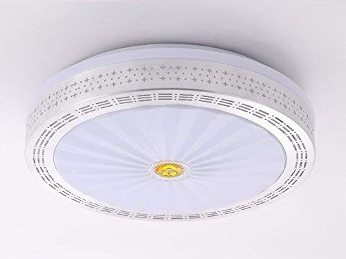 Luminaire de plafond moderne 400mm 24W dimmable pour salon et terrasse
