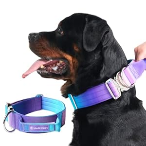 Spark Paws Tactical Dog Collar – Heavy Duty, Premium Quality, Thick and Durable for Large and Medium Dogs – 90’s Retro – L