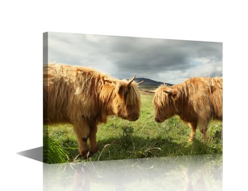 Toile murale encadrée vache des Highlands impression haute définition 45 cm