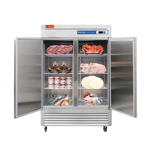 WESTLAKE Commercial 2 Door Freezer