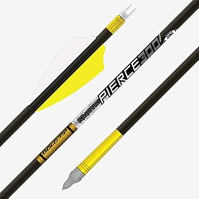 GOLD TIP Arrow, Pierce Platinum (.166) 400 2