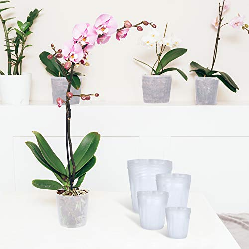 Miahart 40 Pack Plant Nursery Pots Plastic Planter With Drainage Hole Gardening Pot Planting Containers, Starter Seed Starter Trays For Seedling With 40 Pcs Plant Labels #TOP6