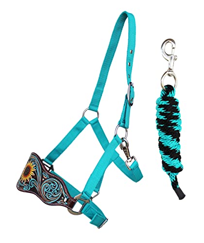 Challenger Noseband Bronc Halter – Taille Cheval, Turquoise, Neuf (réf 280HR13)