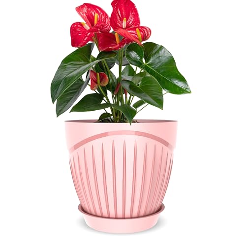 Image of ELUVIA Plastic Plant Pots with Drainage Holes and Trays - Set of 5 (6 Inch) - Minimalist Decorative Indoor Flower Pots for Living Room, Balcony & Office Garden (Pink)