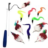 Pet Fit For Life 10 PCS Squiggly Worm and Mouse Cat Feather Teaser Exerciser Toy - Interactive Play
