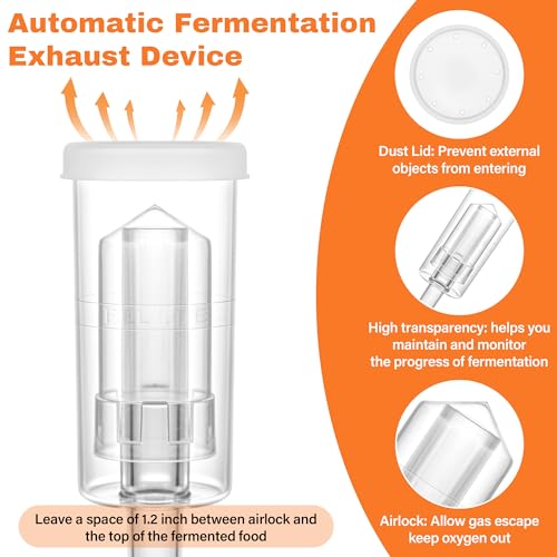 32 oz Mason Jar Fermentation Kit,Sauerkraut/Pickling Kit with 2 Pack Fermentation Jars, 2 Fermentation Lids, 2 Fermenting Weights and Airlocks(2 Jars Included) - Thumbnail 6