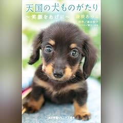 天国の犬ものがたり～笑顔をあげに～（小学館ジュニア文庫） Audiobook By 著/藤咲 あゆな, 原作/堀田 敦子 cover art