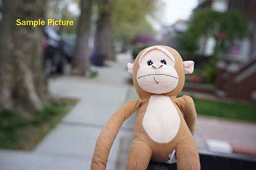 Image of Fotasy N3517 35MM F1.7 TV Movie Lens and Adapter Kit for Sony NEX E-Mount Cameras