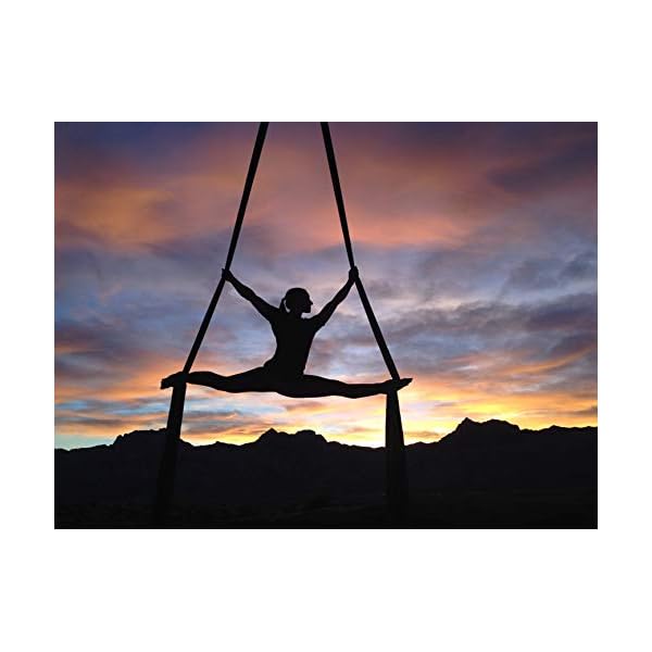 FLife-Aerial-Silks-9-Yards-Equipment-Medium-Stretch-Yoga-Silk-Hammock-Hardware-kit-for-Home-Acrobatic-DanceAir-Yoga-Aerial-Yoga-Hammock F.Life 9 Yards Aerial Silks Equipment- Medium Stretch Aerial Silk Hardware kit for Acrobatic Dance,Air Yoga, Aerial Yoga Hammock (Champagne)