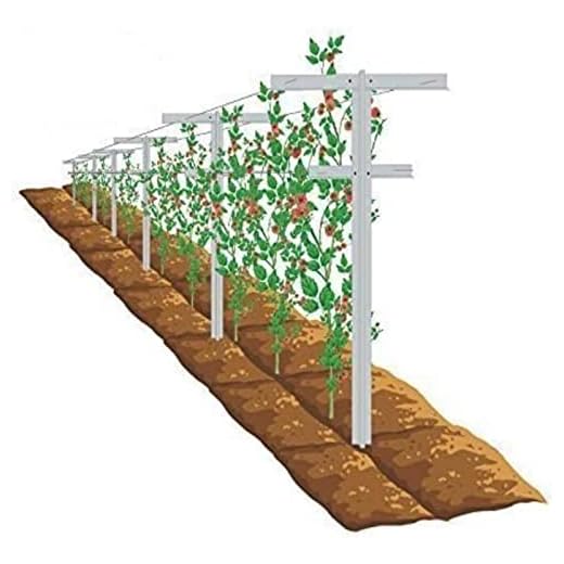 21+ Stunning Lavender and Hydrangea Landscaping Ideas to Transform Your Garden 6 MRGARDEN 7-Feet Grape Vine Trellis, Heavy Duty 2pcs Set for Raspberry and Climbing Plants, Outdoor Stake Vineyard Trellis, 2 Tall Trellises