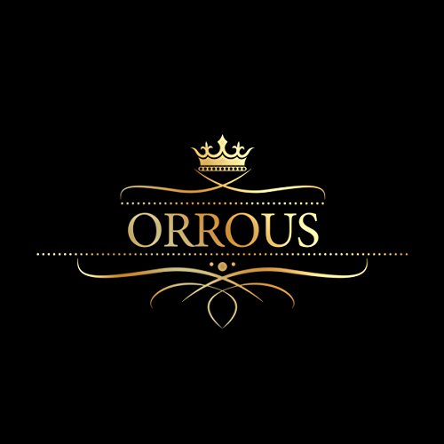 Orrous & Co OR90902LCW Orrous&Co 18K Gold Plated Cz Simulated Diamond Stud Earrings thumb #7