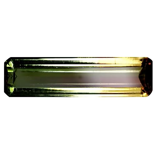 Tourmaline bicolore du Mozambique pour créer votre bague de fiançailles idéale