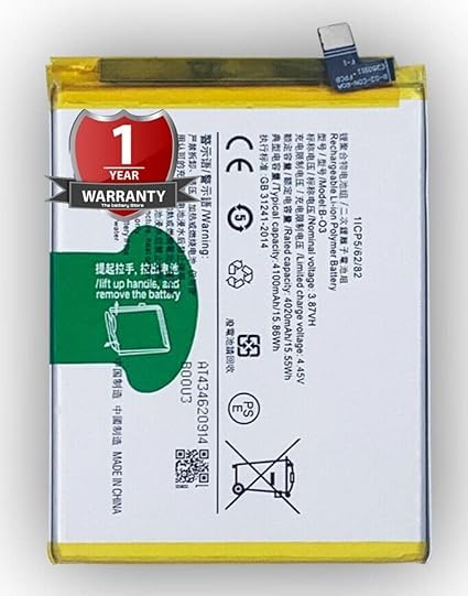 Image of THE BATTERY STORE Orignal B-O3 Battery for VIVO Y73S Battery with 1 Year Warranty**** (PPP227)
