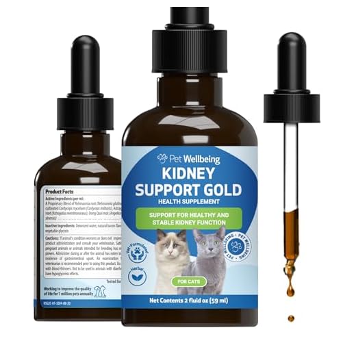 Kidney Support Gold Herbal Supplement for Cats
