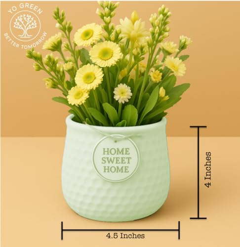 Image of Yo Green Ceramic Plant Pot for Indoor & Outdoor, Modern Planter for Home & Office Decor, Durable, Stylish Finish, Ideal for Tabletop, Shelf, Balcony, Great Gift Idea (Mint, 4 Inches)