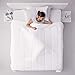 LUX Décor Queen Comforter – 88x88 Ultra-Soft Down Alternative Duvet Insert with Corner Tabs & Box Stitching, Hotel Quality Plush Microfiber Bedding, Oeko-TEX Certified - White