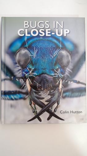 Bugs In Close-Up