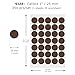 FINDAT Brown Round Stickers 1 Inch Vinyl Dot Stickers Self-Adhesive Removable Color Coding Labels Waterproof Circle Price Tag for Office Classroom Inventory Organizing 350 PCS