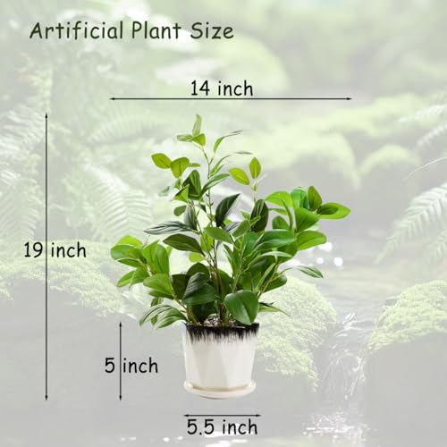 16 inch Pretend Vegetation Indoor Reasonable Thick Evergreen Leaf Synthetic Plant with Black and White Creamic Pot for Farmhouse House Room Bed room Kitchen Workplace Desk Decor - Image 4