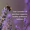 Lavender Essential Oil 5ml by Young Living &ndash; Pure Lavender Oil for Aromatherapy, Essential Oil Diffuser, Skin & Relaxation, Essential Oils for Diffuser & Home Use #5
