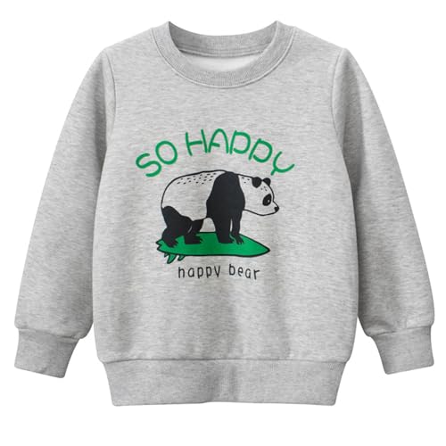 Toddler Boys Fleece Sweatshirts Dinosaur Crewneck Pullover Sweater Winter Clothes2