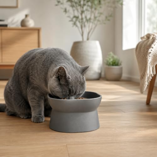Image of Kipenzi Elevated Pet Bowl for Cats & Small Dogs | Food Grade Feeding Bowl | Raised Ergonomic Design | Stable & Easy to Clean | Modern Food & Water Bowl | Grey (Pack of 2)