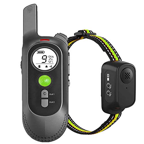 Collar de Adiestramiento para Perros sin Descarga Eléctrica, Collar de Entrenamiento para Perros con Función de Vibración, Reproducción de Grabación y Bip, Remoto de 300m, Impermeable y Recargable