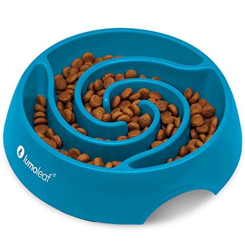 LumoLeaf Antischlingnapf Hunde Groß, Ø 22 cm, rutschfest Hundenapf, Schwerer Fressnapf, Entlastet die Verdauung, Anti Blähungen Futternapf Hund, Slow Feeder Dog Bowl (Tornado-Blau, L)