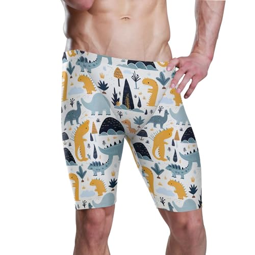 UMIRIKO Cute Dinosaur Dino Animal Swim Jammers Swimsuit for Men XXL B0401354