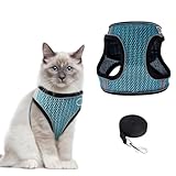 Ankilo Step-in Air Dog Harness, Cat Harness and Leash, Reflective Vest Harnesses, Adjustable Kitten Harness for Large Small Cats Dogs, Lake Blue XS