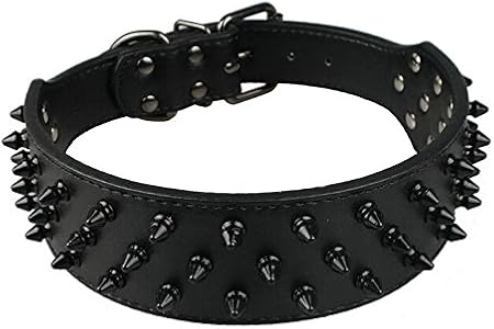 dog collars amazon