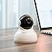 YI Pet Security Camera 1pc, 1080p 360-degree Pan-Tilt Smart Indoor IP Cam with Night Vision, 2-Way Audio, Motion-Tracking，Human Detection, Phone App, Compatible with Alexa and Google