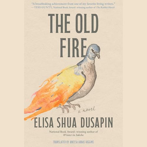 The Old Fire Audiolivro Por Elisa Shua Dusapin capa