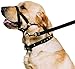 Ancol Nylon Training Halter. Size XL Extra Large (7-9) 68 cm Around Neck/ 46 cm Around Snout