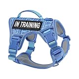 AUNZO No-Pull Dog Harness for XS Dogs, Anti-Escape Easy Walking Reflective Adjustable Lightweight Dog Vest with Breathable Oxford Material, Easy On/Off with Neck Buckle, Blue XS