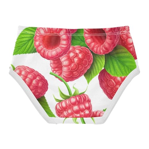 Cotton Toddler Underwear Floral Cute Strawberry Pink Panties Little Girl Artistic Briefs Underpants 2t2