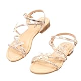 JOMIX Sandalia Mujer Planas con Mariposa de Strass, Hebilla Ajustable en el Tobillo, Zapatillas Sandalias de Verano Cómodas para Ocio y Vacaciones WFF260236 (Champán, 39)