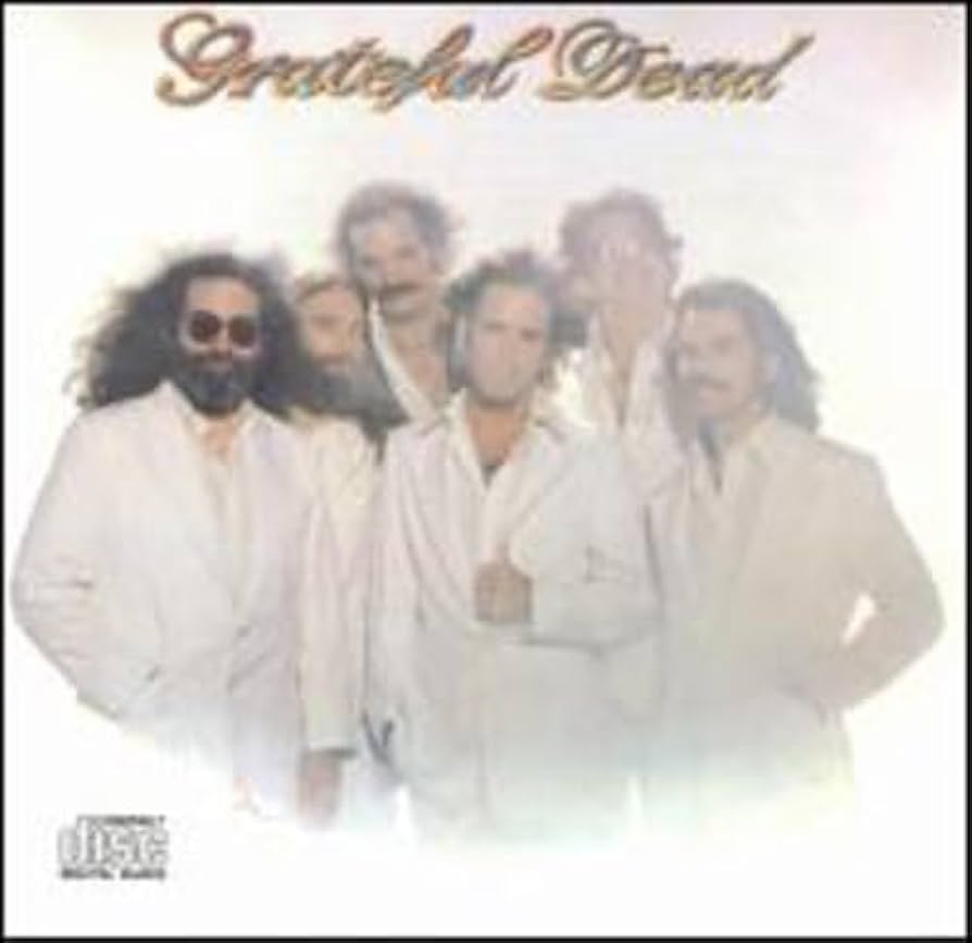 グレイトフル・デッド go to heaven 国内盤アナログ LP レコード グレイトフル・デッド go to heaven 国内盤アナログ LP レコード