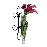 Danya B. Home Accent Wall Mount Fleur de Lis Flower Vase Sconce Made from Iron and Clear Glass, it Can be Displayed on The Wall Indoors or Perfect for The Patio