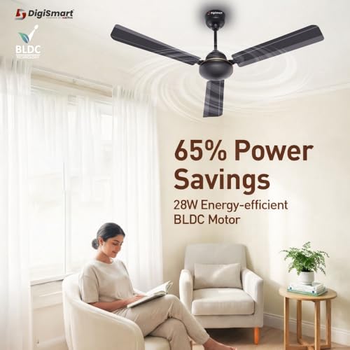 Image of DIGISMART Storm 1200mm BLDC Ceiling Fan with Remote | 28W Motor | 65% Power Saving | Low Noise | Reverse Mode | Smart Memory | 3 Blade High Speed Fan | 5 Year Warranty | Smoke Brown | Pack of 2