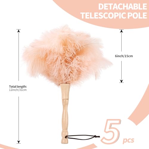 Image of Ostrich Feather Duster 12 Inch Handheld Duster Supplies, Wooden Handle Feather Duster for Cleaning Keyboard Home Car Office (Champagne 5Pcs)