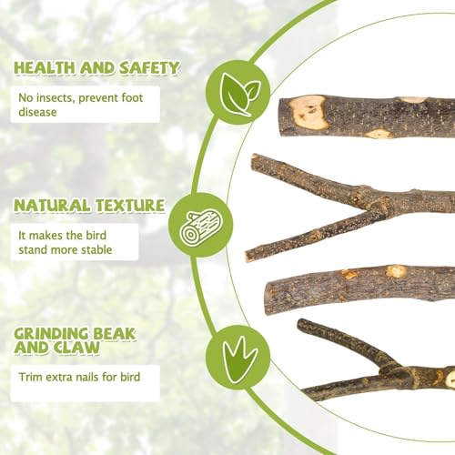 Image of 5PCS Natural Wood Bird Perch Set - Straight & Forked Branch Perches Cage Perches Accessories for Small Medium Birds, Parakeets, Budgies, Cockatiels, Conures