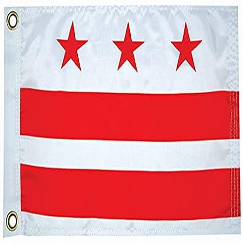 TAYLOR MADE PRODUCTS Washington DC Flag for Boats, Pools and Docks - image 1