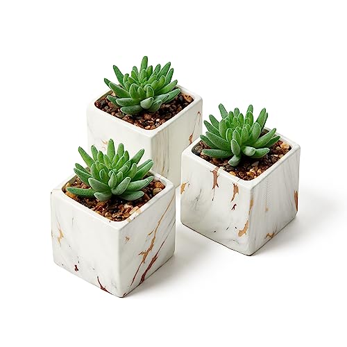 Nordik Square Marble Pots with Gold Vein Accents - Set