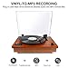 1byone Belt Driven Turntable with Built in Stereo Speaker, Wireless Connection Vintage Style Record Player, Vinyl to MP3 Recording, Natural Wood
