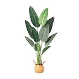 Ferrgoal Artificial Bird of Paradise Plants 5Ft Fake Tropical Palm Tree with 10 Trunks in Pot and Woven Seagrass Belly Basket Perfect Faux Plant for Home Indoor Outdoor Office Modern Decor Green…