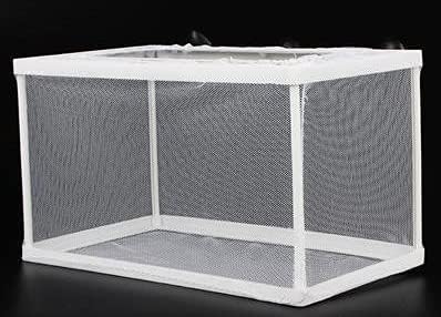 Fish Nursery for Aquarium-Fish,Aquarium Fish Breeder Box, Hatching Box, Juvenile Fish Spawning Incubator, Water Isolation Net Hatchery、Fish Isolation Box (Rectangle-no partition) Fish Nursery for Aquarium-Fish,Aquarium Fish Breeder Box, Hatching Box, Juvenile Fish Spawning Incubator, Water Isolation Net Hatchery、Fish Isolation Box (Rectangle-no partition)