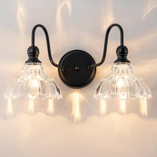 BrkNit Vintage Bathroom Light Fixtures Over Mirror, 2-Light Black Wall