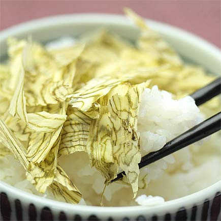 bg Ɩp tԁipƂj18g×10 т̂ H ٓ