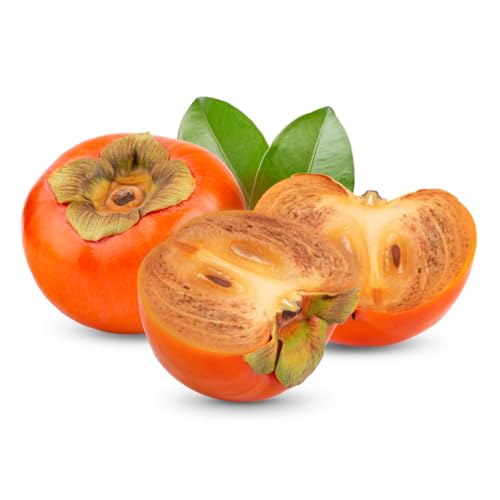 Muda Frutífera de Caqui Kioto Enxertada (Chocolate Preto)